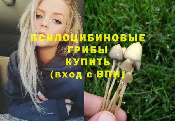 гидропоника Балахна
