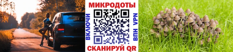 Псилоцибиновые грибы GOLDEN TEACHER  Темников 